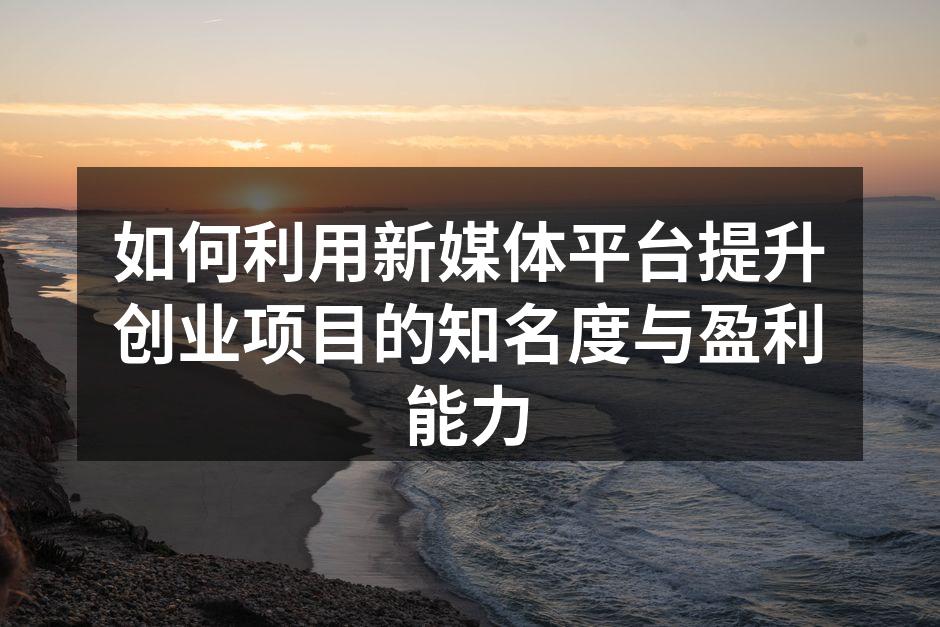 如何利用新媒体平台提升创业项目的知名度与盈利能力